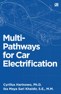 Image of Multi-pathways for car electrification